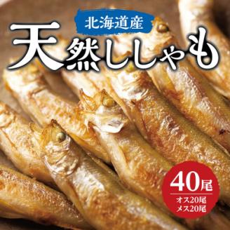 天然ししゃも オス・メス40尾(Sサイズ)【配送不可地域：離島】