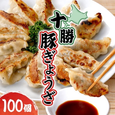 十勝 豚ぎょうざ 20個入り 5パック 十勝豚使用 北海道 大樹町【配送不可地域：離島】