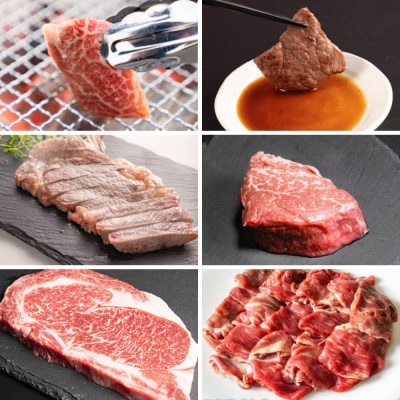 【毎月定期便】十勝姫  北海道 黒毛和牛 焼肉・ステーキ・しゃぶしゃぶ用 グラスフェットビーフ全6回【配送不可地域：離島】
