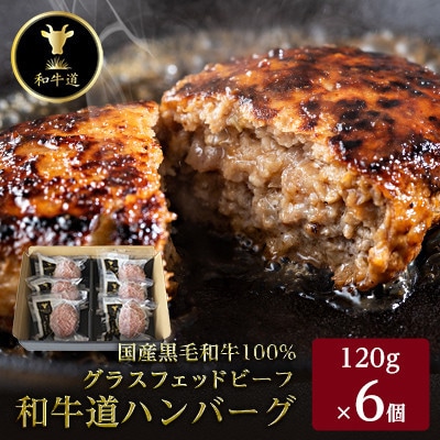 【毎月定期便】和牛道ハンバーグ120g×6食セット 大樹町 国産黒毛和牛 グラスフェッドビーフ全6回【配送不可地域：離島】