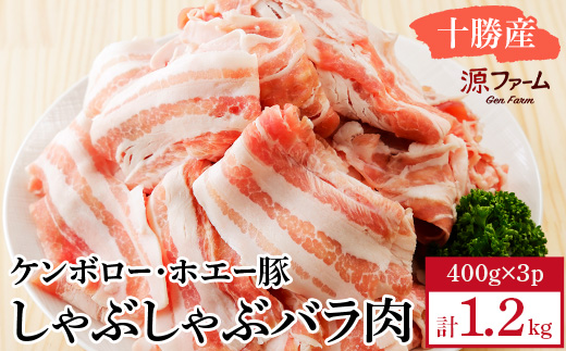 ケンボロー・ホエー豚 しゃぶしゃぶバラ肉1.2kgセット【CT-019】【配送不可地域：離島】