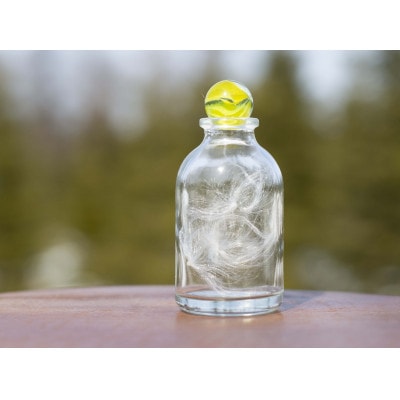 Keseran Pasaran(ケセランパサラン)【OT-003】