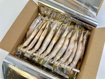 【広尾町産】干物専門店かぶらぎ水産の夫婦ししゃも１箱（オス10尾メス10尾）