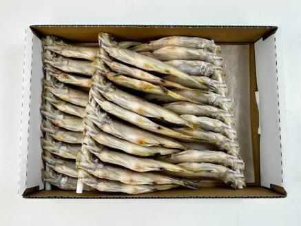 【広尾町産】干物専門店かぶらぎ水産のメスししゃも３０尾