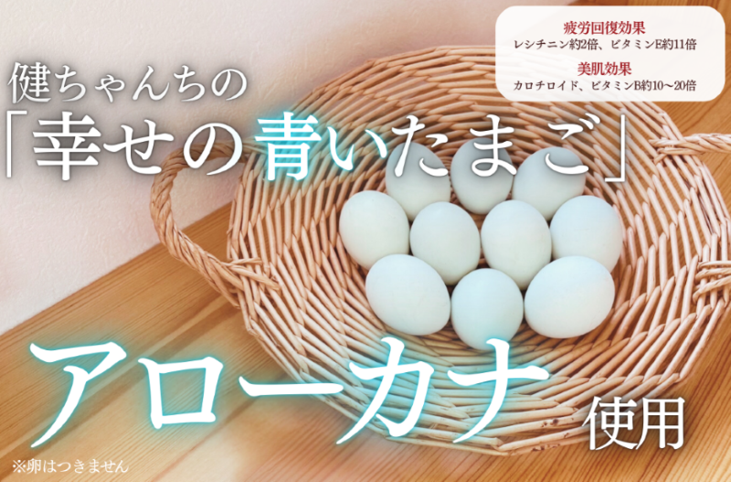 十勝ママシフォン（プレーン）手作り無添加シフォンケーキ