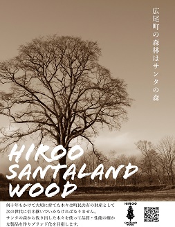 サンタランドウッドソロキャンプバーベキュー用焚き付けセット(D)