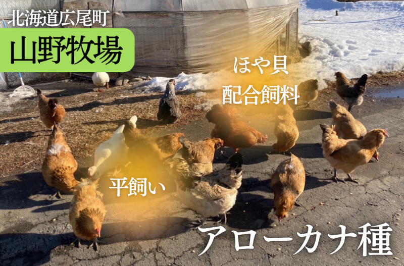 十勝ママシフォン（プレーン）手作り無添加シフォンケーキ