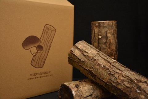 天然原木しいたけ栽培セット