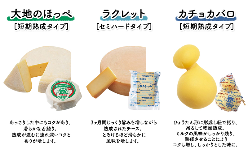 北海道 十勝 チーズアソート7種B / ラクレット入り バラエティセット [チーズ工房NEEDS]【 チーズ アソート 詰合せ セット バラエティ ラクレット モッツァレラ 大地のほっぺ さけるチーズ 乳製品 ワインNEEDS ニーズ 食べ比べ 受賞】