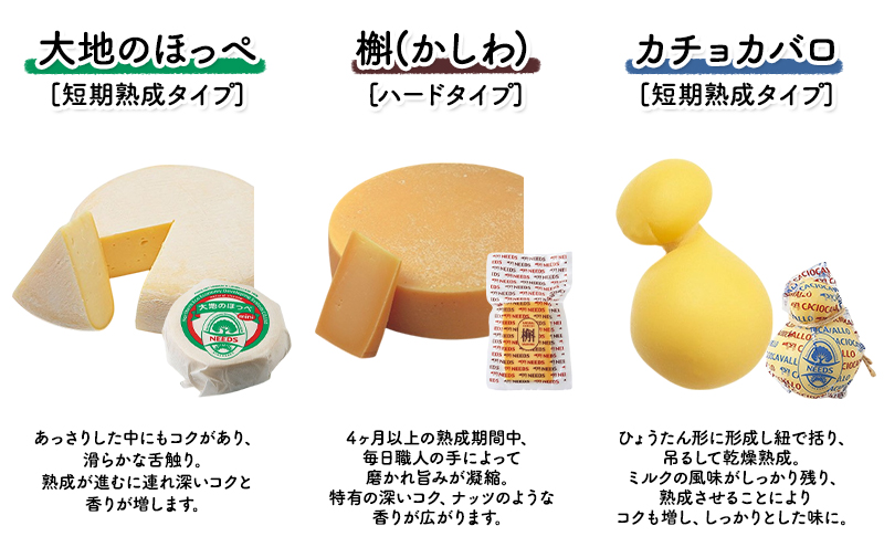 北海道 十勝 チーズアソート7種A / 槲（かしわ）入り バラエティセット 3回定期便（2ヶ月ごと）[チーズ工房NEEDS]【 定期便 頒布会 隔月 チーズ アソート 詰合せ セット バラエティ 槲 かしわ モッツァレラ 大地のほっぺ さけるチーズ 乳製品 ワイン 麦酒 ビール 酒 NEEDS ニーズ 食べ比べ 受賞 北海道 十勝 幕別 】
