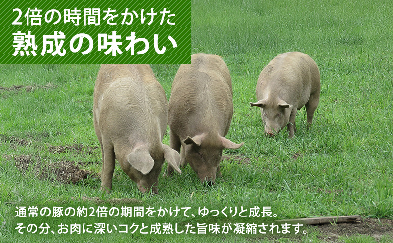 北海道十勝の放牧豚”遊ぶた”大きなヒレカツ用640gセット