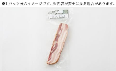 十勝の無添加豚 ベーコンブロック 600g［うらがみミート］ 無塩せき 保存料・結着剤不使用【 ベーコン 肉 豚 国産 惣菜 おつまみ 料理 燻製 加工品 北海道 十勝 幕別 】