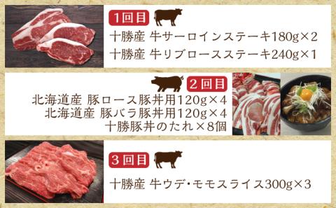 北海道十勝のお肉屋さん厳選定期便【全6回】 ハンバーグ 牛肉 ステーキ ジンギスカン