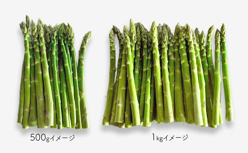 十勝幕別町産 グリーンアスパラ1kg M～2L混合［山田敏明牧場］【2026年5月出荷開始】 北海道 野菜 アスパラガス