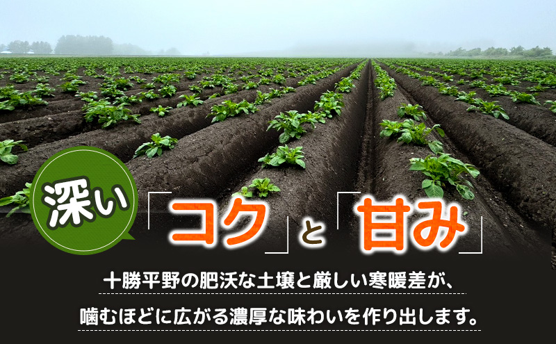 先行予約/2026年秋発送 北海道 十勝 幕別産 じゃがいも 北海こがね 約10kg 【横山農園】 野菜 根菜 フライドポテト ポテトチップス 変色しにくい 煮崩れしにくい 黄金色 北海道のジャガイモ