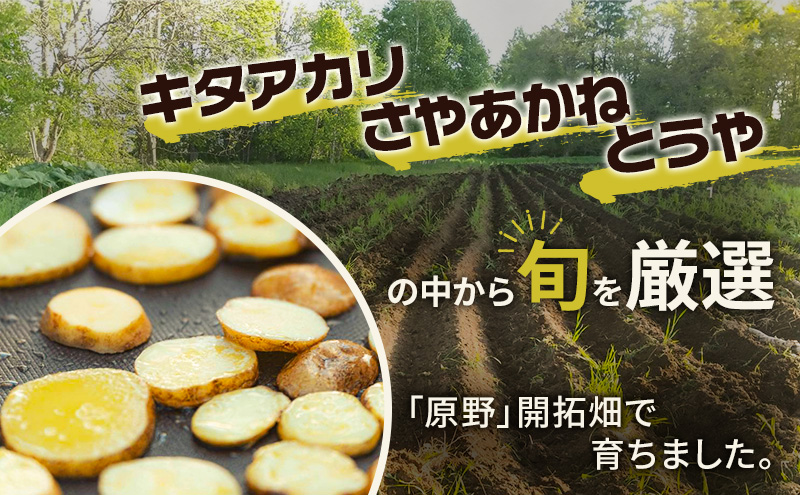 北海道十勝 ミナイカシのワイルドジャガイモおまかせ2種 計3kg 【栽培期間中農薬不使用】自然栽培 じゃがいも【 芋 いも ジャガイモ 野菜 食品 人気 産直 産地直送 北海道 幕別 】