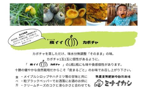 自然栽培かぼちゃをマッシュした「ミナイカシの皮イイカボチャ」110g×6