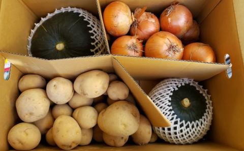 【2025年出荷先行予約】十勝幕別町産 かぼちゃ2個・玉ねぎ4kg・じゃがいも2kg 計約10kg［山田敏明牧場］ 野菜 たまねぎ セット 詰合せ 旬の野菜 産地直送 北海道産