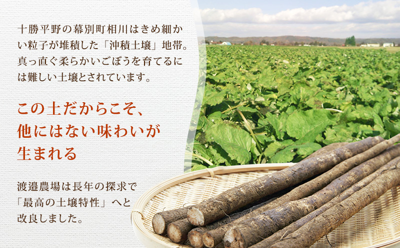 十勝 幕別町産 ごぼう5kg (ML混合) 渡邉農場 [2026年11月出荷開始]【 野菜 根菜 ごぼう ゴボウ 牛蒡 北海道 十勝 幕別 】