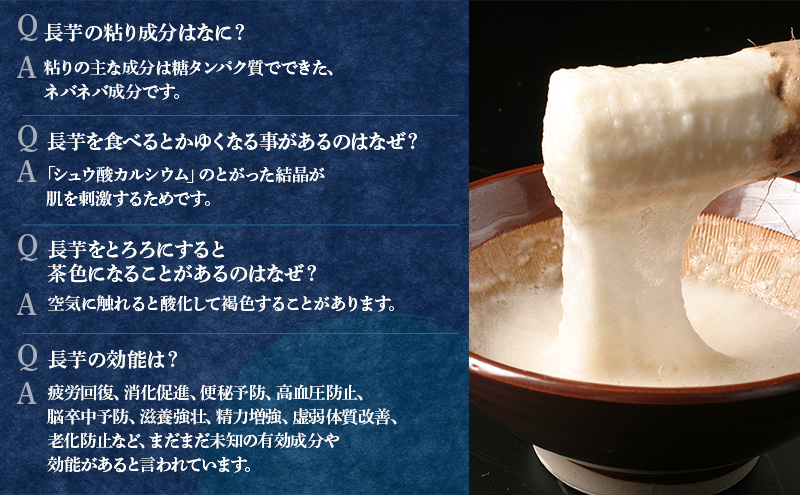 北海道 十勝の大地が育てたシャキシャキ食感と強い粘り 幕別産 長いも Lサイズ 5kg ［木川商店］【 長いも 長芋 ながいも ナガイモ とろろ 芋 いも 野菜 10kg 5kg 産地直送 旬 濃厚 北海道 十勝 幕別 】
