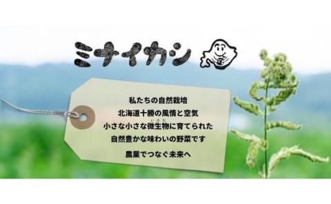 自然栽培かぼちゃをマッシュした「ミナイカシの皮イイカボチャ」110g×6