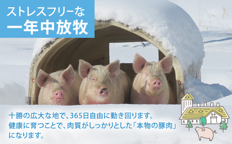 北海道十勝の放牧豚”遊ぶた”大きなヒレカツ用640gセット 