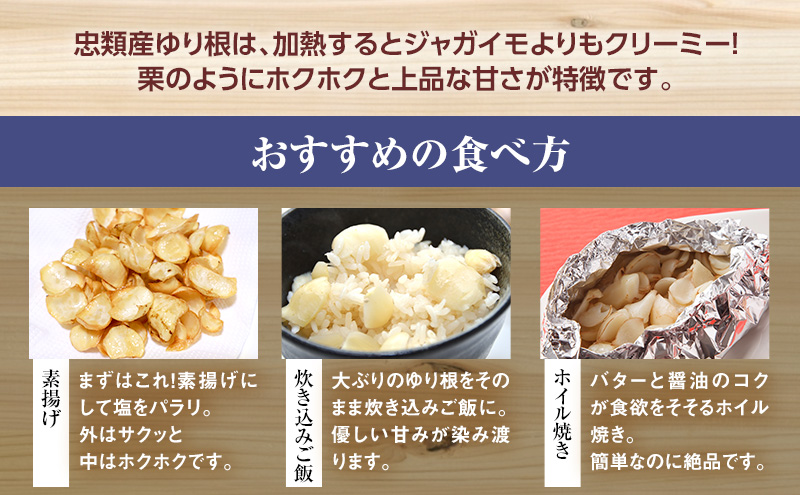 2026年10月発送 先行予約 十勝「忠類ゆり根」1kg (7～12玉) M～2
