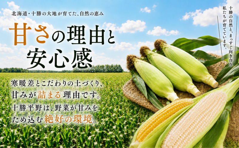 ［先行予約/2026年］もぎたてとうもろこし黄・白 計18～20本