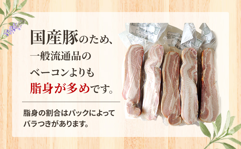 十勝の無添加豚 ベーコンブロック 1.5kg［うらがみミート］ 