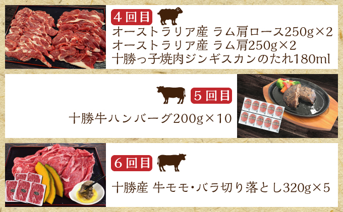 北海道十勝のお肉屋さん厳選定期便【全6回】 ハンバーグ 