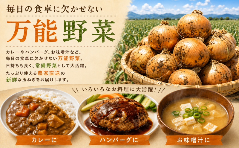 【先行予約】十勝幕別のジャンボ玉ねぎ20kg（3L）【北海道