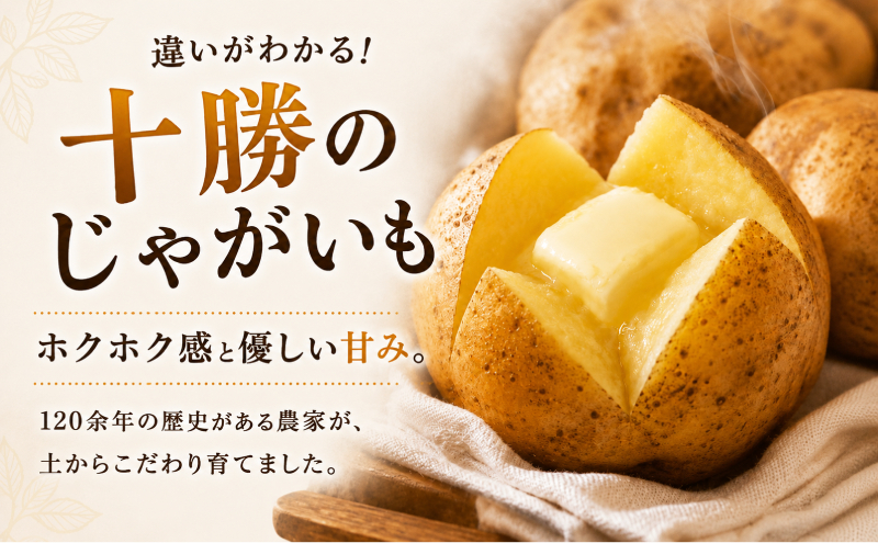 【先行予約】じゃがいも5kg・玉ねぎ4kgセット（メークイン