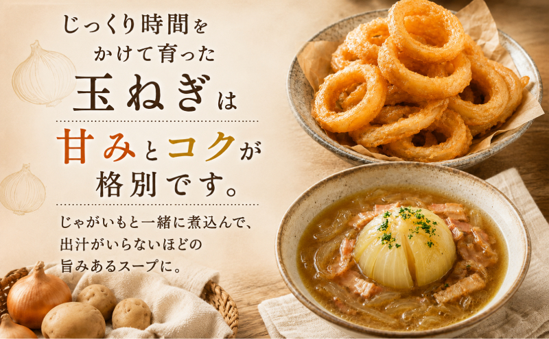 【先行予約】じゃがいも5kg・玉ねぎ4kgセット（北あかり）