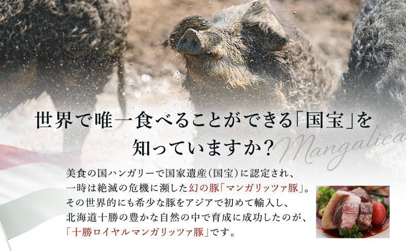 【メディアで多数紹介】 国宝・十勝ロイヤルマンガリッツ