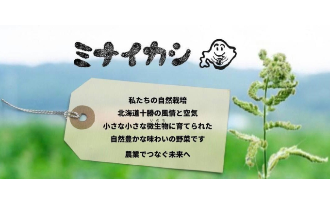 自然栽培かぼちゃをマッシュした「ミナイカシの皮イイカ
