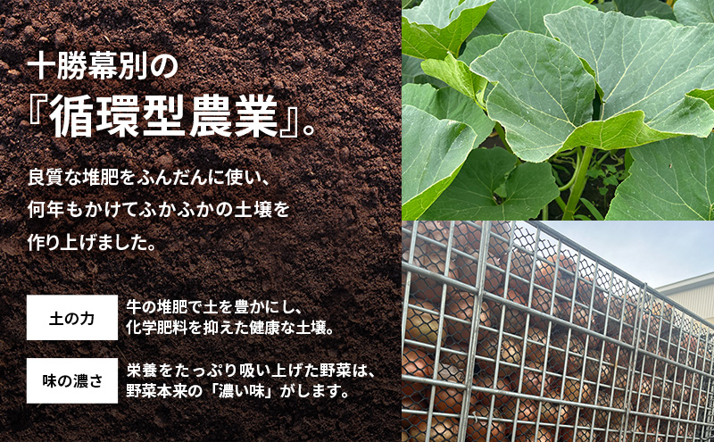 【2026年発送先行予約】十勝幕別町産 かぼちゃ2個・玉ねぎ4k