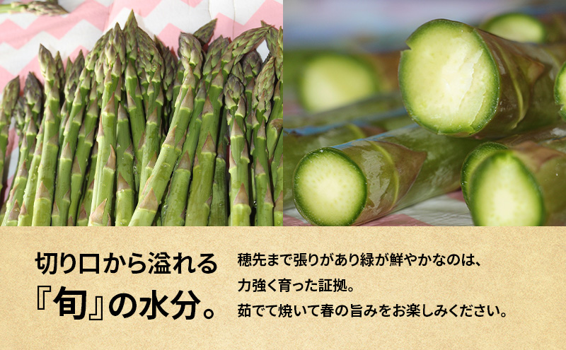 十勝幕別町産 グリーンアスパラ1kg M～2L混合［山田敏明牧場