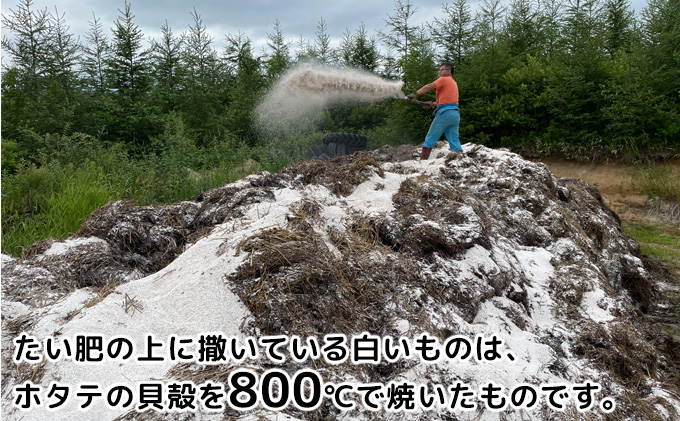 先行予約/2026年秋発送 北海道 十勝 幕別産 じゃがいも とう