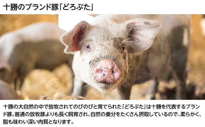 北海道十勝のコロッケ5種とメンチカツ1種 70g×6個（アスパラベーコン・ゆり根とインカ・ラクレット・長いも・黒毛和牛・どろぶたメンチカツ）各1個［木川商店］【 加工品 惣菜 冷凍 野菜 じゃがいも 牛肉 お肉 レンジ お手軽 簡単 北海道 十勝 幕別  】