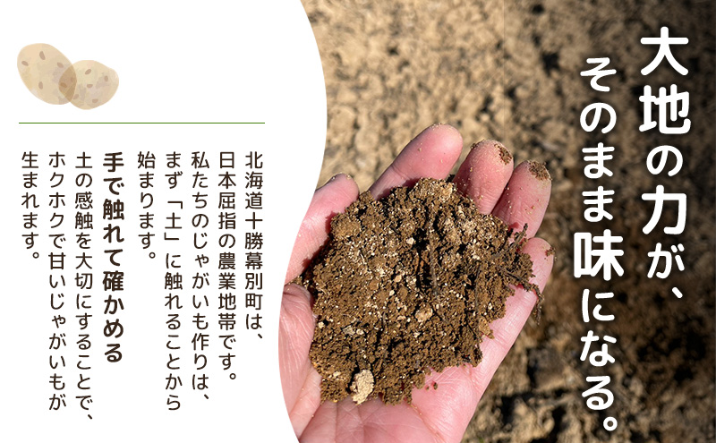 先行予約/2026年秋発送 北海道 十勝 幕別産 じゃがいも とうや 約10kg 【横山農園】 野菜 根菜 食材 煮崩れしにくい サラダ 煮込み料理 肉じゃが カレー シチュー 北海道のジャガイモ