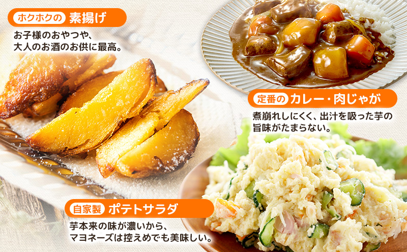 先行予約/2026年秋発送 北海道 十勝 幕別産 じゃがいも 北海こがね 約10kg 【横山農園】 野菜 根菜 フライドポテト ポテトチップス 変色しにくい 煮崩れしにくい 黄金色 北海道のジャガイモ