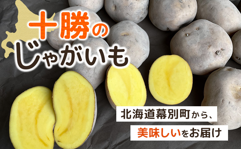 先行予約/2026年秋発送 北海道 十勝 幕別産 じゃがいも インカのめざめ 約5kg【横山農園】 野菜 根菜 フライドポテト ポテトチップス 変色しにくい 煮崩れしにくい 黄金色 北海道のジャガイモ