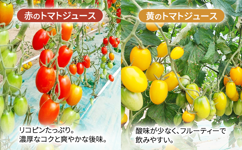 糖度平均9～10度！十勝 幕別産 ミニトマトジュース「自慢のトマトでつくりました。」赤1,000ml×1本・黄180ml×4本 セット［北海道ホープランド農場］食塩無添加【 トマト ミニトマト 飲料 野菜ジュース リコピン 北海道 十勝 幕別 】