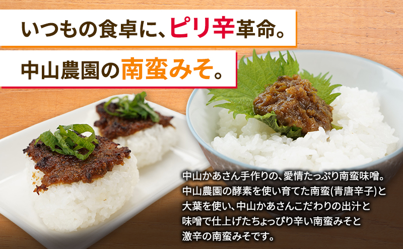 十勝 幕別 中山かあさんの南蛮みそ 辛口・激辛 各1セット（1瓶300g）【 白米 米 パスタ 十勝 おにぎり きゅうり 南蛮みそ 南蛮 味噌 青唐辛子 ご飯のお供 大葉 しそ おつまみ 国産 無着色 無添加 北海道 】