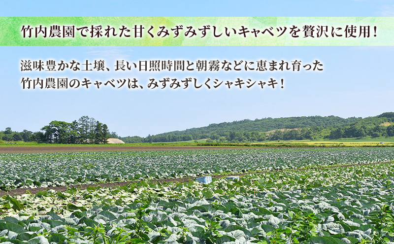 ボリューム満点 手作り冷凍餃子 75個 (15個×5袋)［錦華園］【 野菜 キャベツ たっぷり 厚い 手包み 手作り もちもち モチモチ 汁 町中華 中華 北海道 十勝 幕別 】