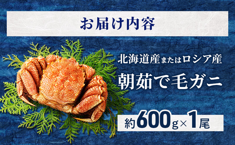 ［冷蔵便］茹でたて直送！北海道産 または ロシア産 朝茹で毛ガニ 約600g×1尾【 かに カニ 蟹 幕別町 北海道 毛蟹 毛ガニ 海鮮 魚介 海の幸 海産物 冷蔵 】