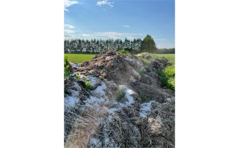 先行予約/2026年秋発送 北海道 十勝 幕別産 じゃがいも とうや 約10kg 【横山農園】 野菜 根菜 食材 煮崩れしにくい サラダ 煮込み料理 肉じゃが カレー シチュー 北海道のジャガイモ