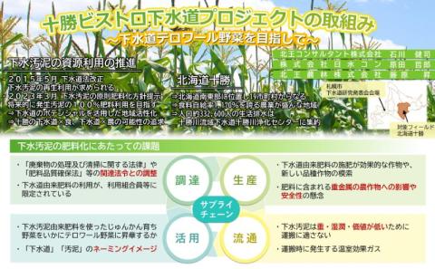 北海道 十勝 幕別産 とうもろこし 恵味ゴールド 10本「じゅんかん育ち」北王農林［十勝BISTRO下水道プロジェクト］【 とうもろこし とうきび コーン 野菜 フルーツ 甘い 】