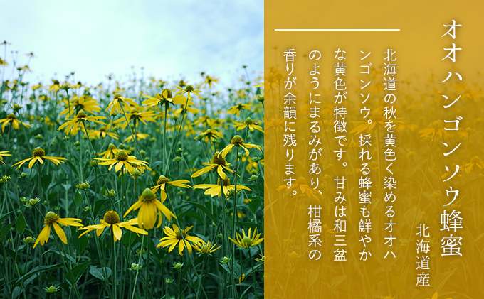 【国産純粋蜂蜜】北海道産 はちみつ3種食べ比べ 600g (200g×3