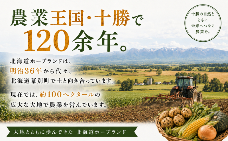 【先行予約】じゃがいも4種詰合せ（品種おまかせ合計8kg）